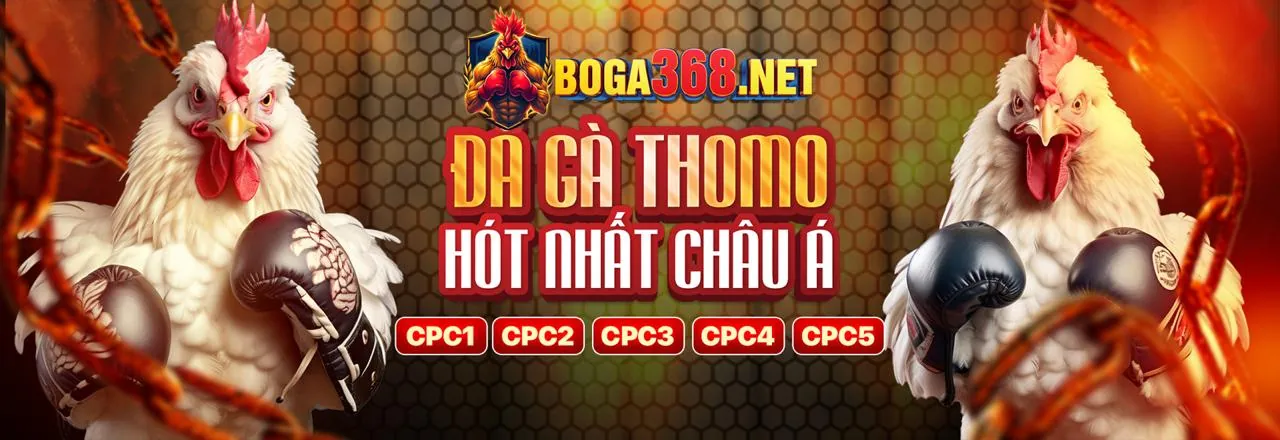 Tham gia m888 chính thức ngay